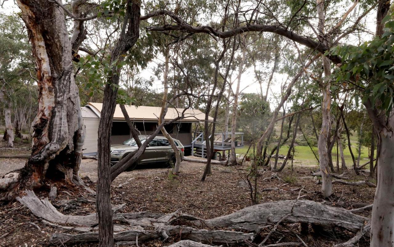 Wallabies Rest Ben Bullen Exterior photo